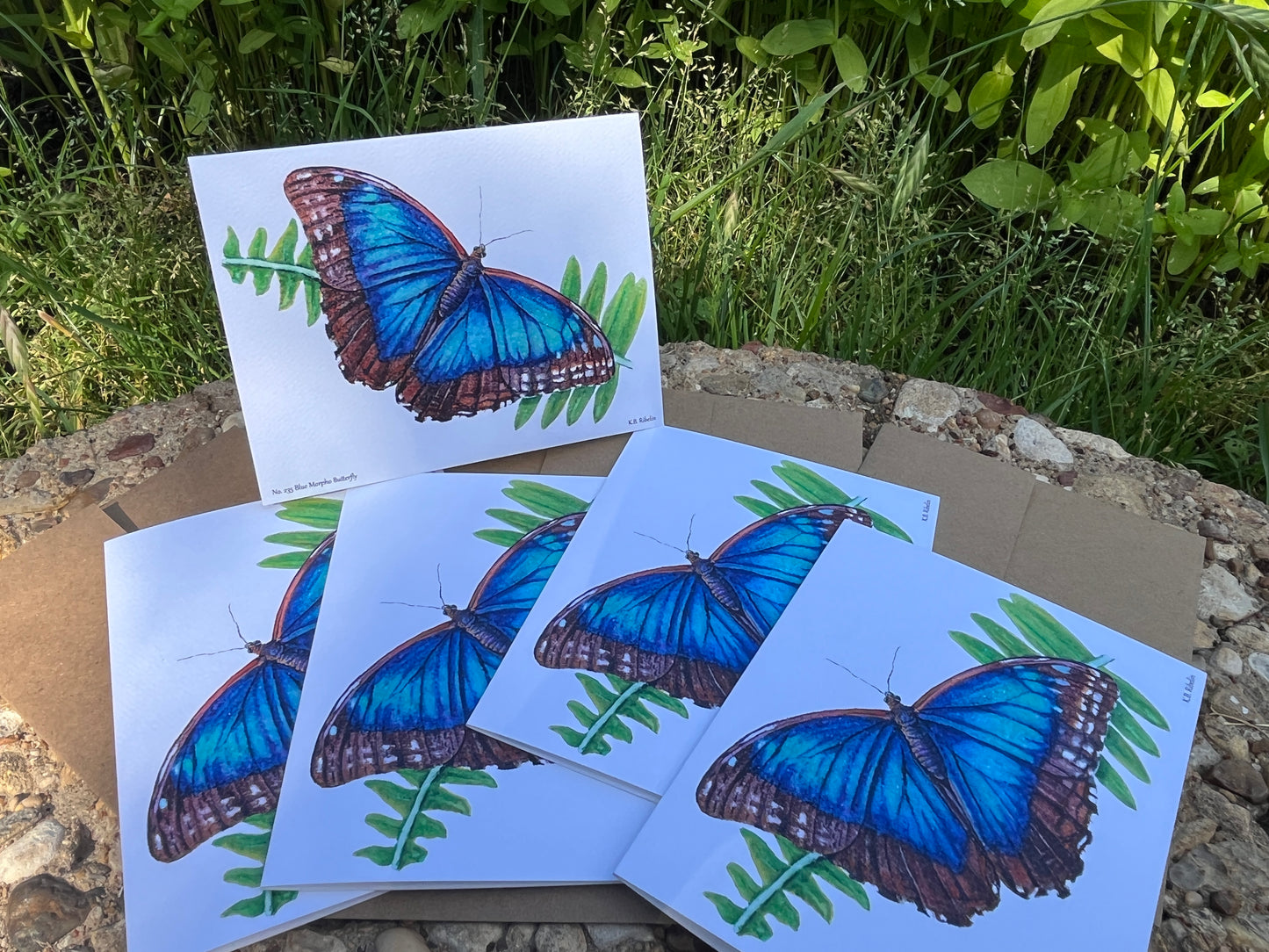Blue Morpho - Bird Art by KB - Notecard Set