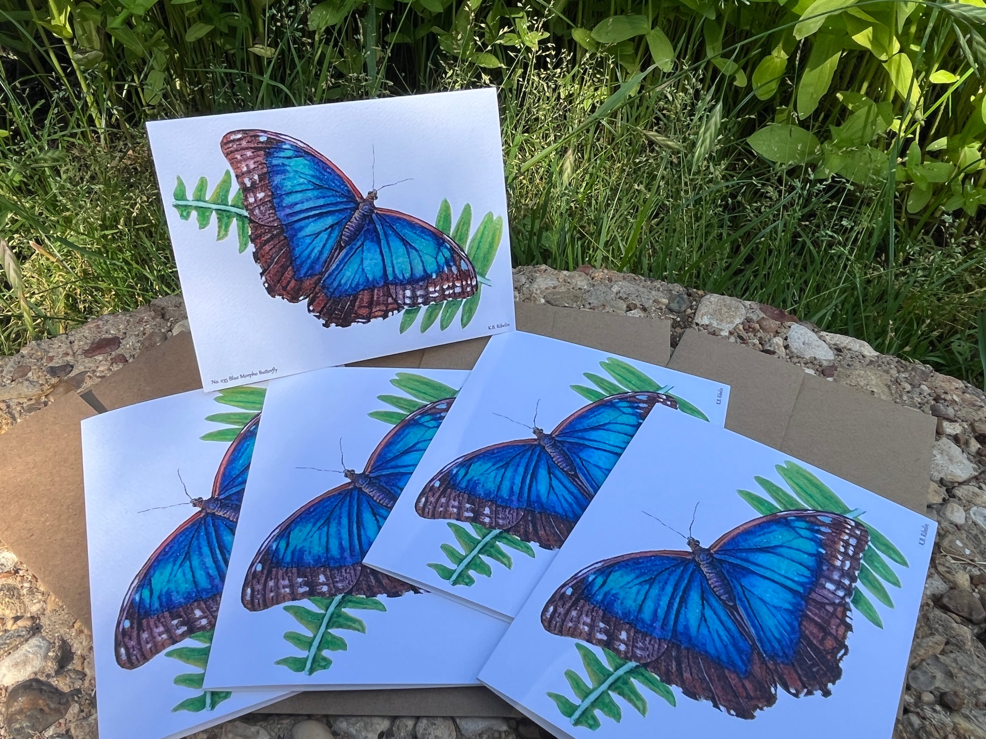 Blue Morpho - Bird Art by KB - Notecard Set