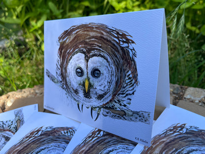 Barred Owl - Bird Art by KB - Notecard