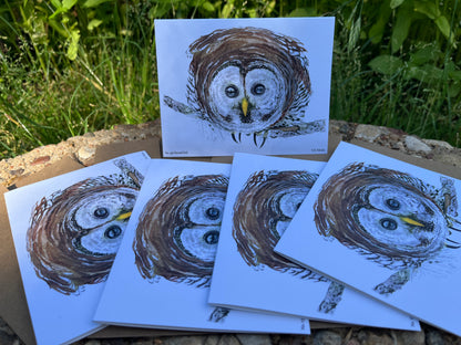 Barred Owl - Bird Art by KB - Notecard Set
