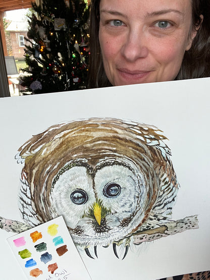 Barred Owl - Bird Art by KB - Original