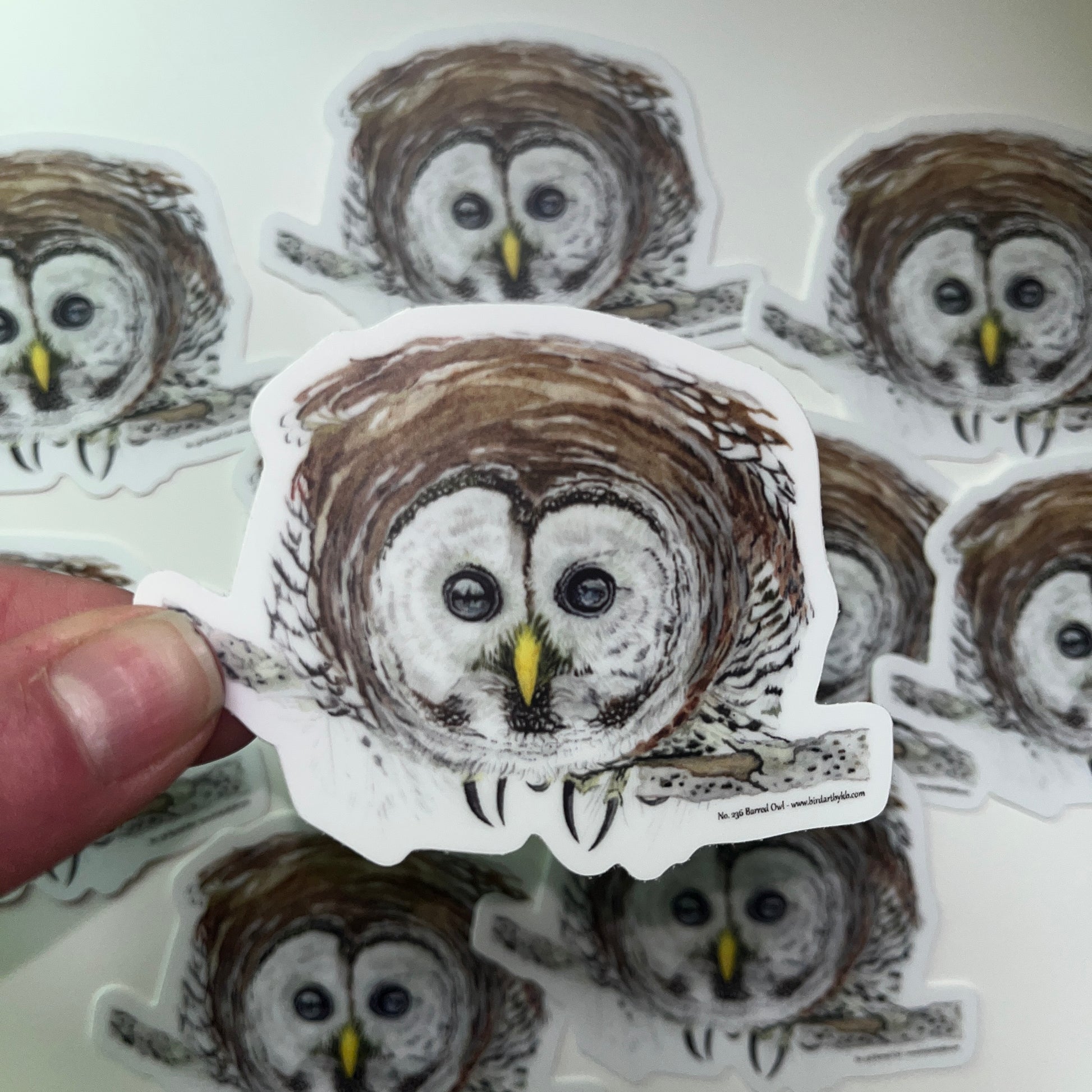Barred Owl - Bird Art by KB - Sticker