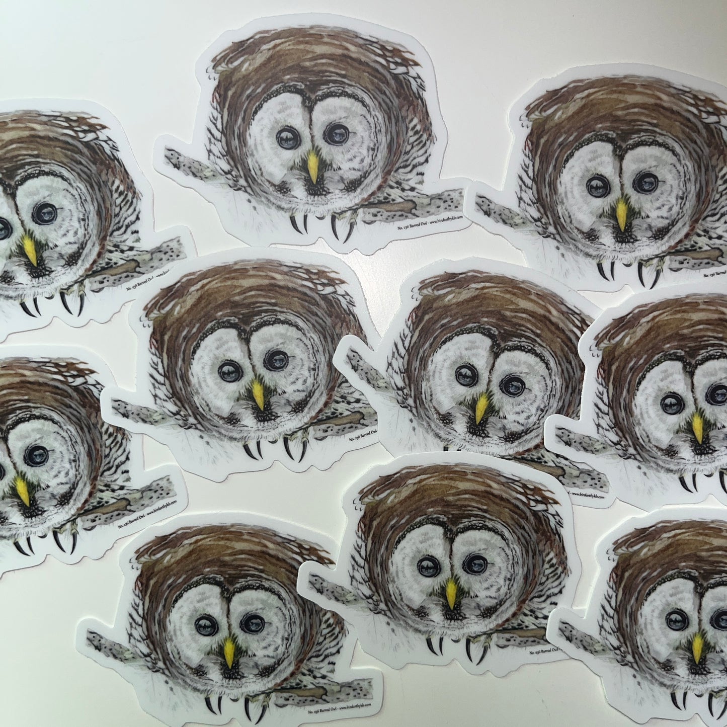 Barred Owl - Bird Art by KB - Sticker