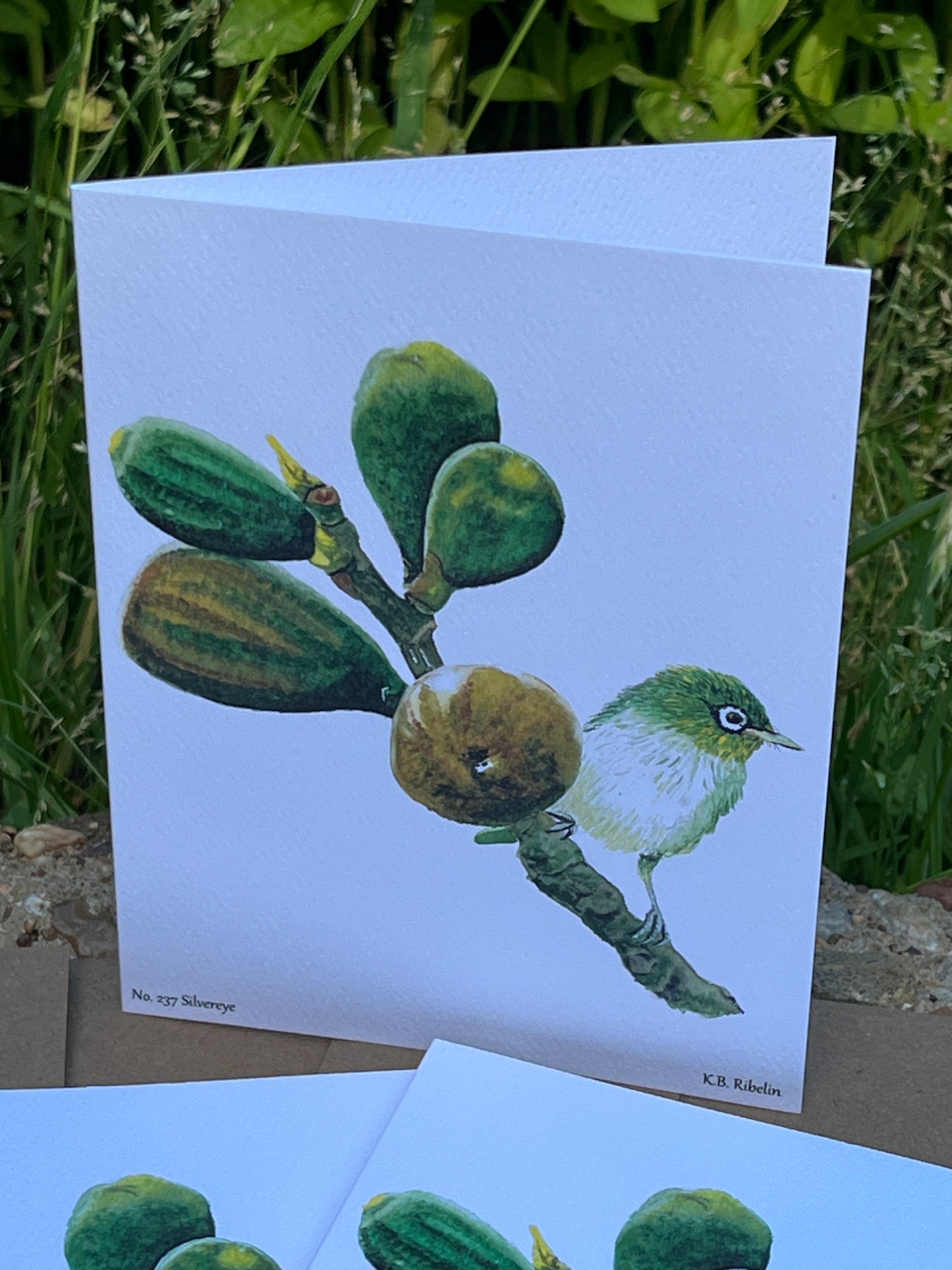 Silvereye - Bird Art by KB - Notecard