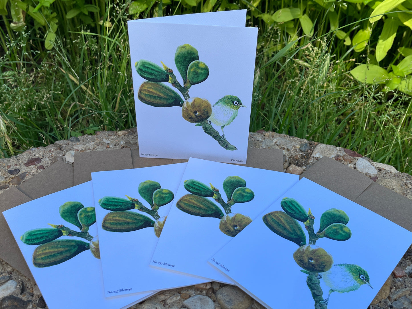 Silvereye - Bird Art by KB - Notecard Set