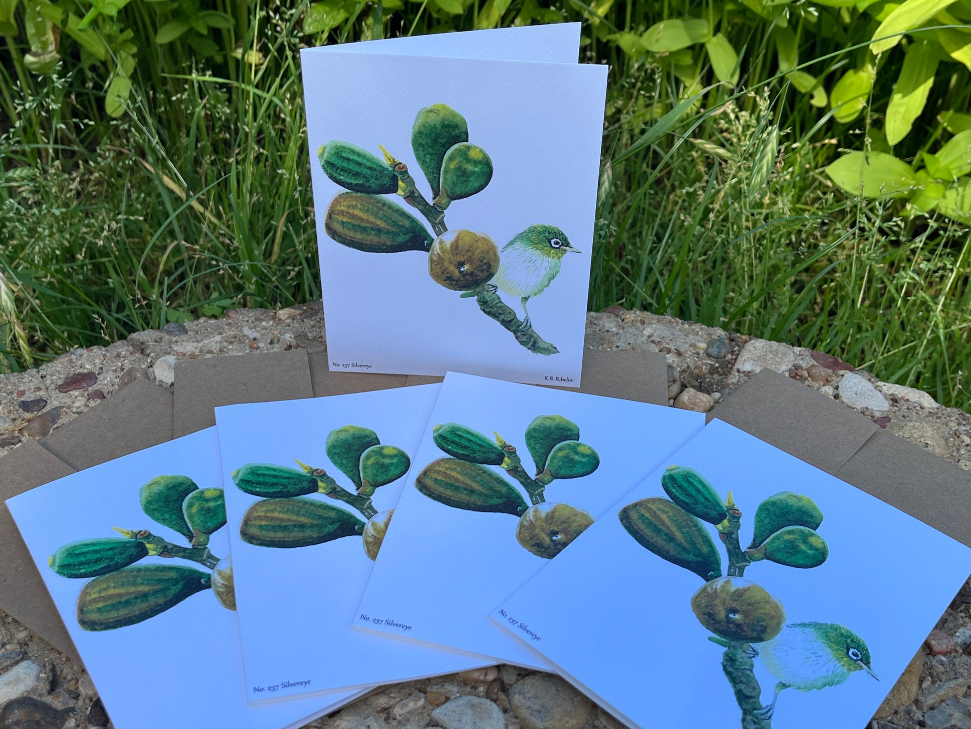Silvereye - Bird Art by KB - Notecard Set
