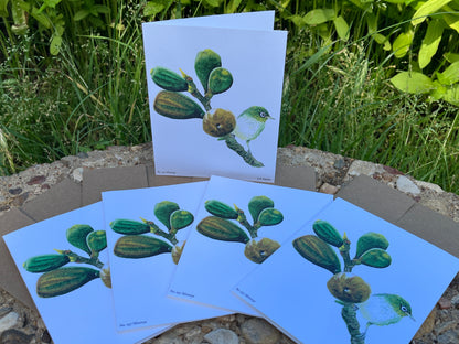 Silvereye - Bird Art by KB - Notecard Set