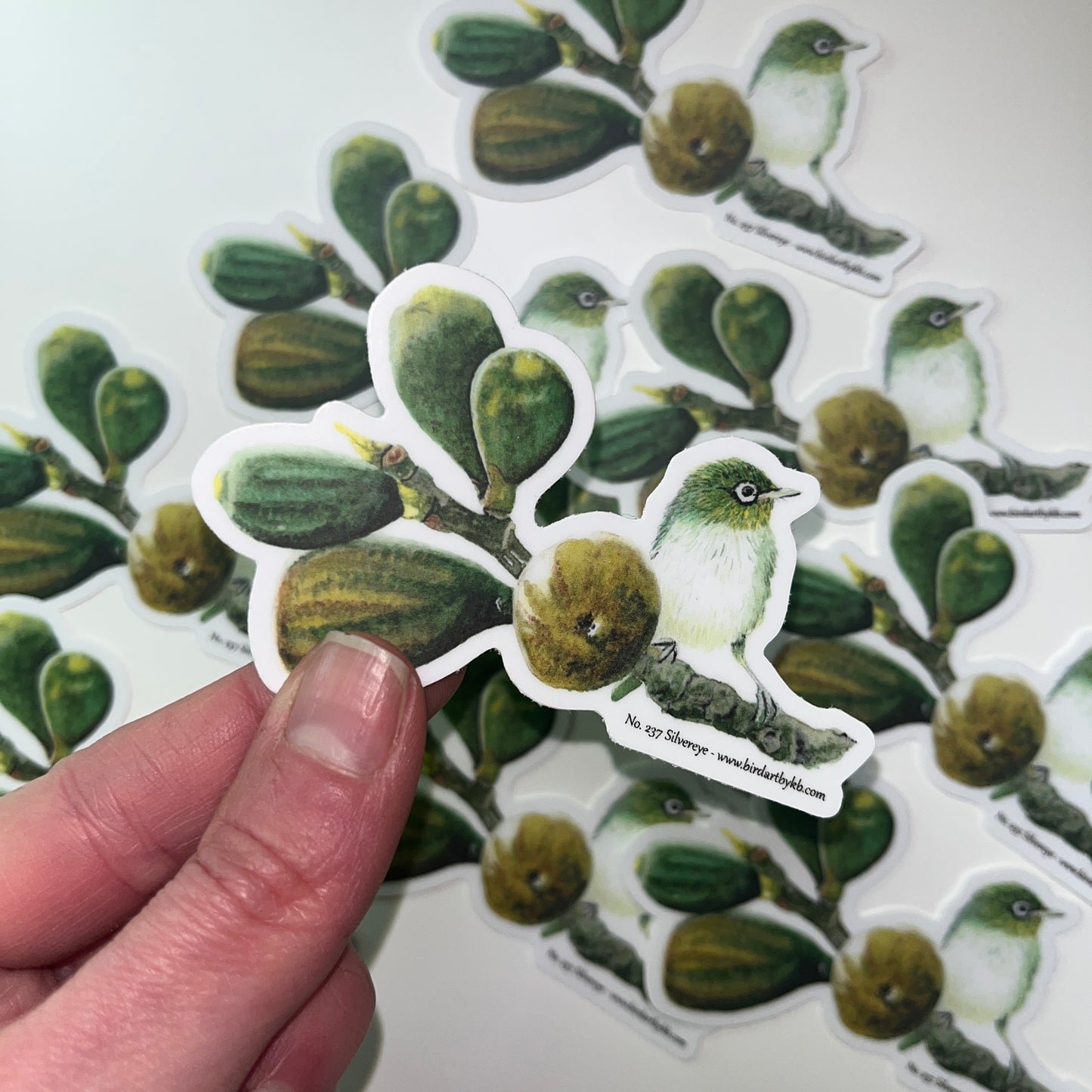 Silvereye - Bird Art by KB - Sticker