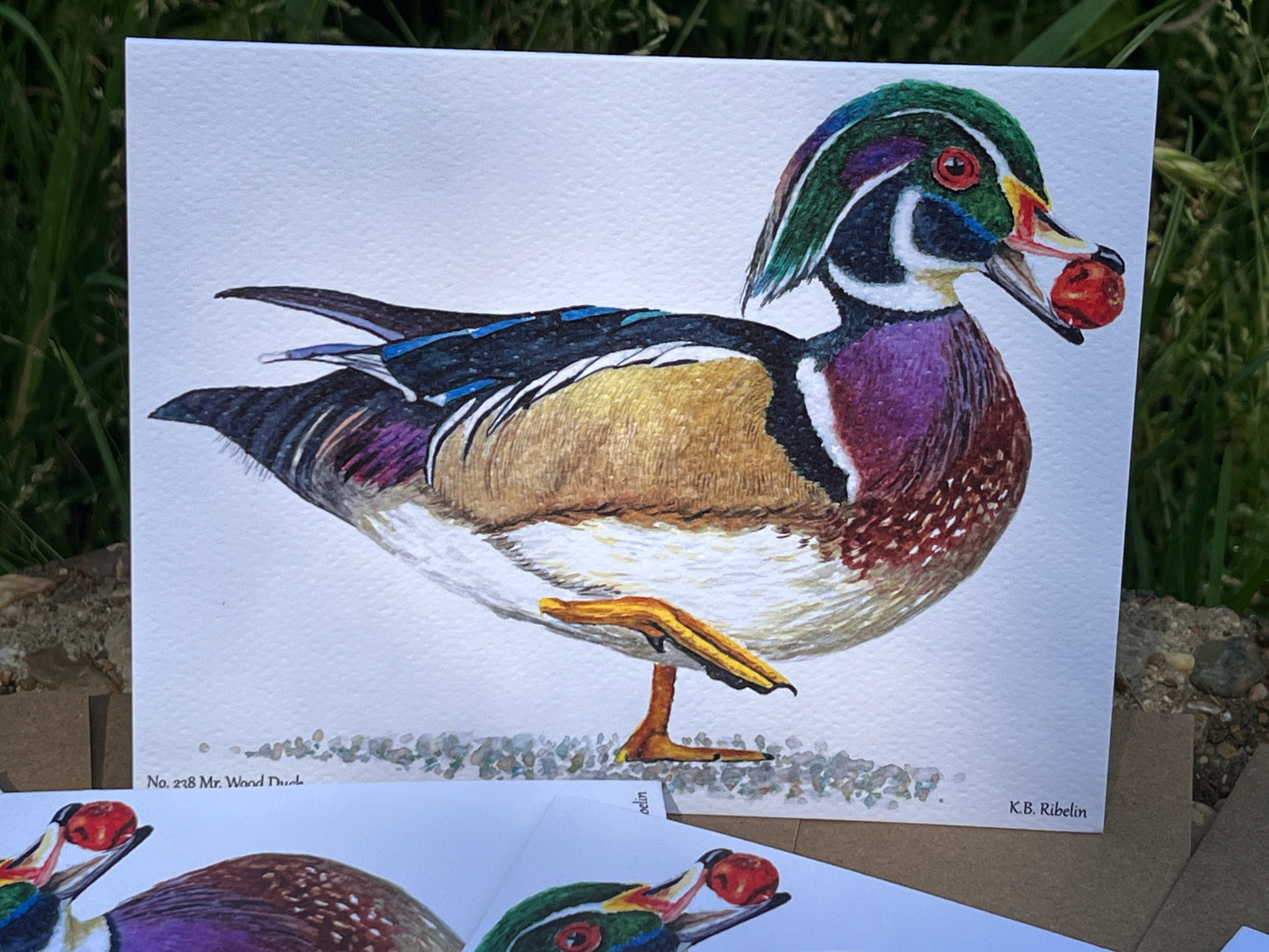 Wood Duck (Male) - Bird Art by KB - Notecard