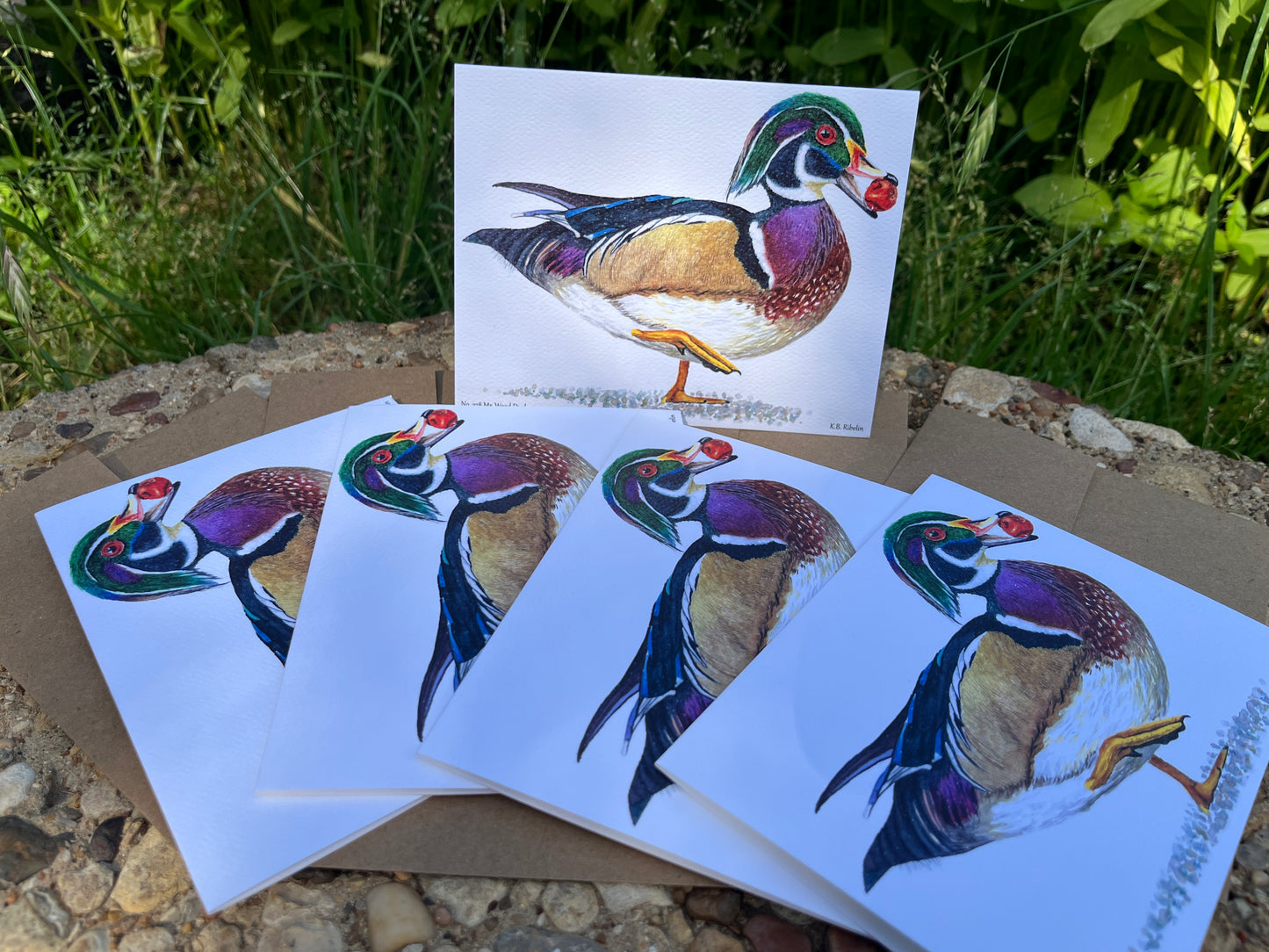 Wood Duck (Male) - Bird Art by KB - Notecard Set