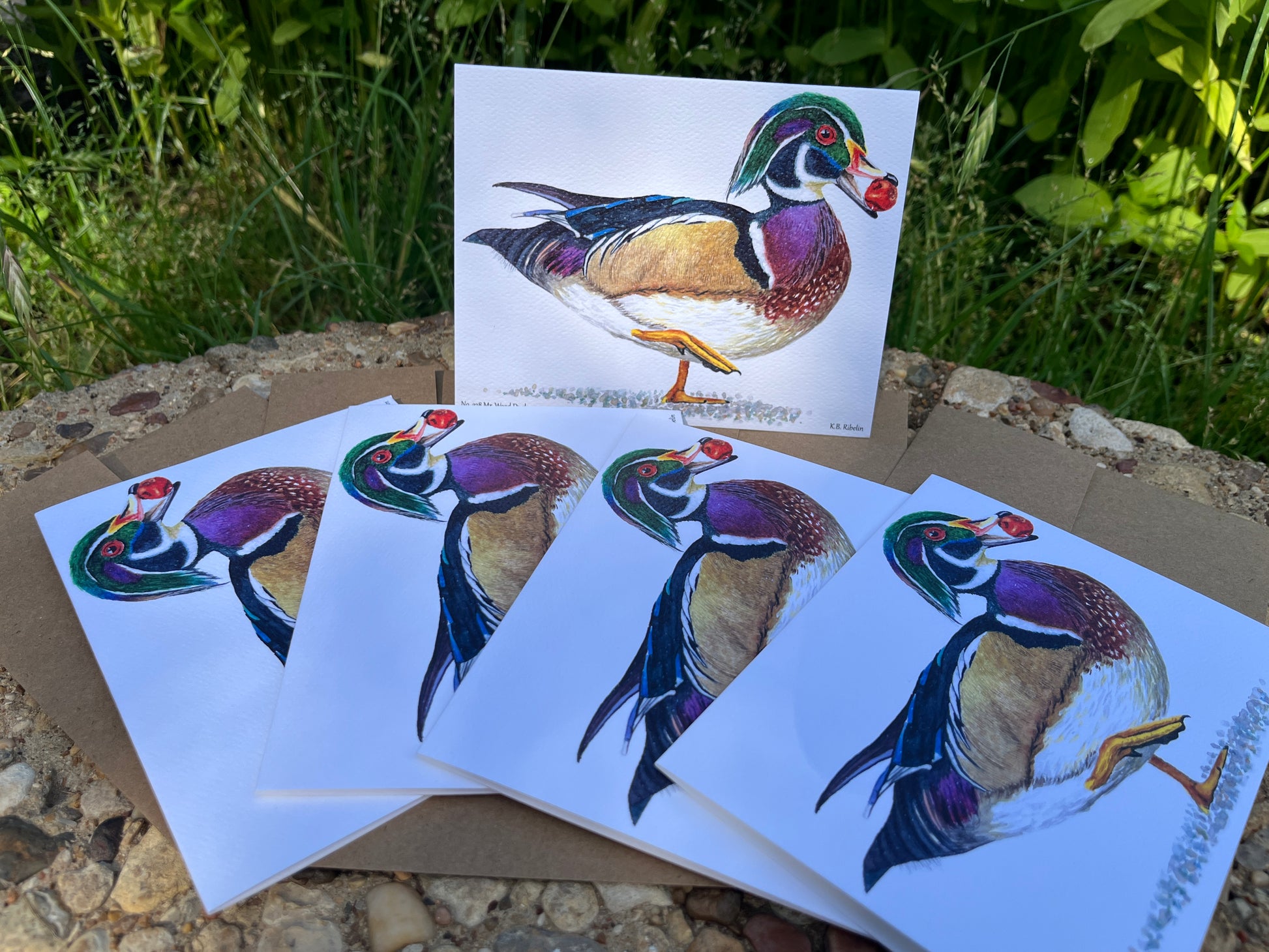 Wood Duck (Male) - Bird Art by KB - Notecard Set