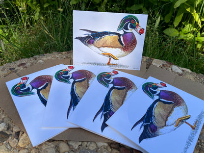 Wood Duck (Male) - Bird Art by KB - Notecard Set