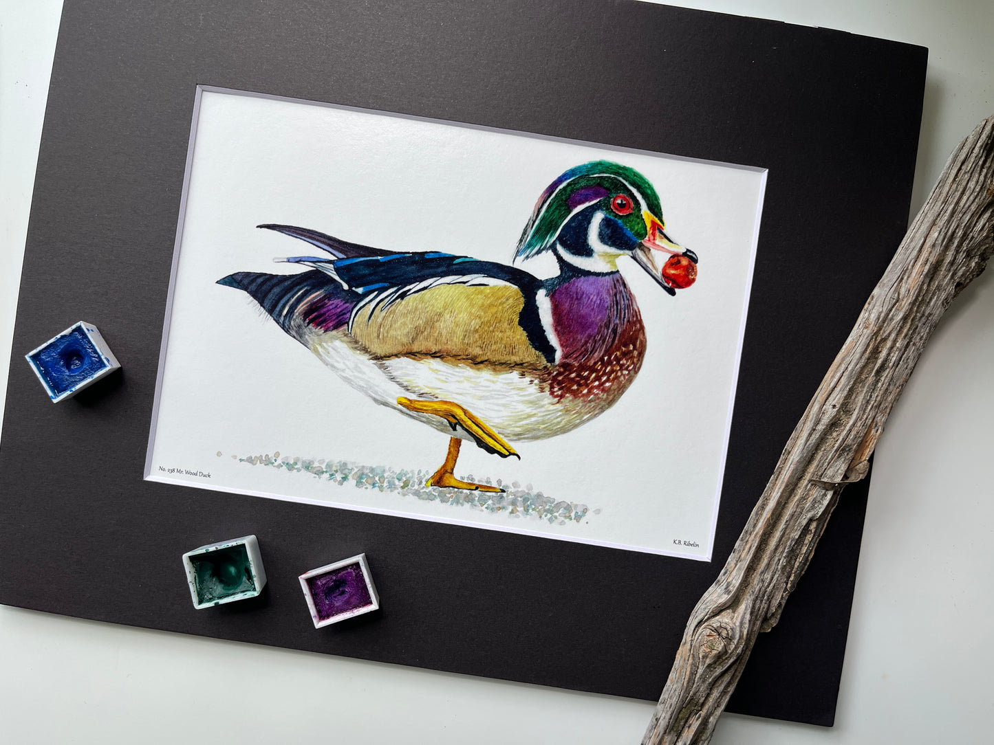 Wood Duck (Male) - Bird Art by KB - Giclee Print with Black Mat