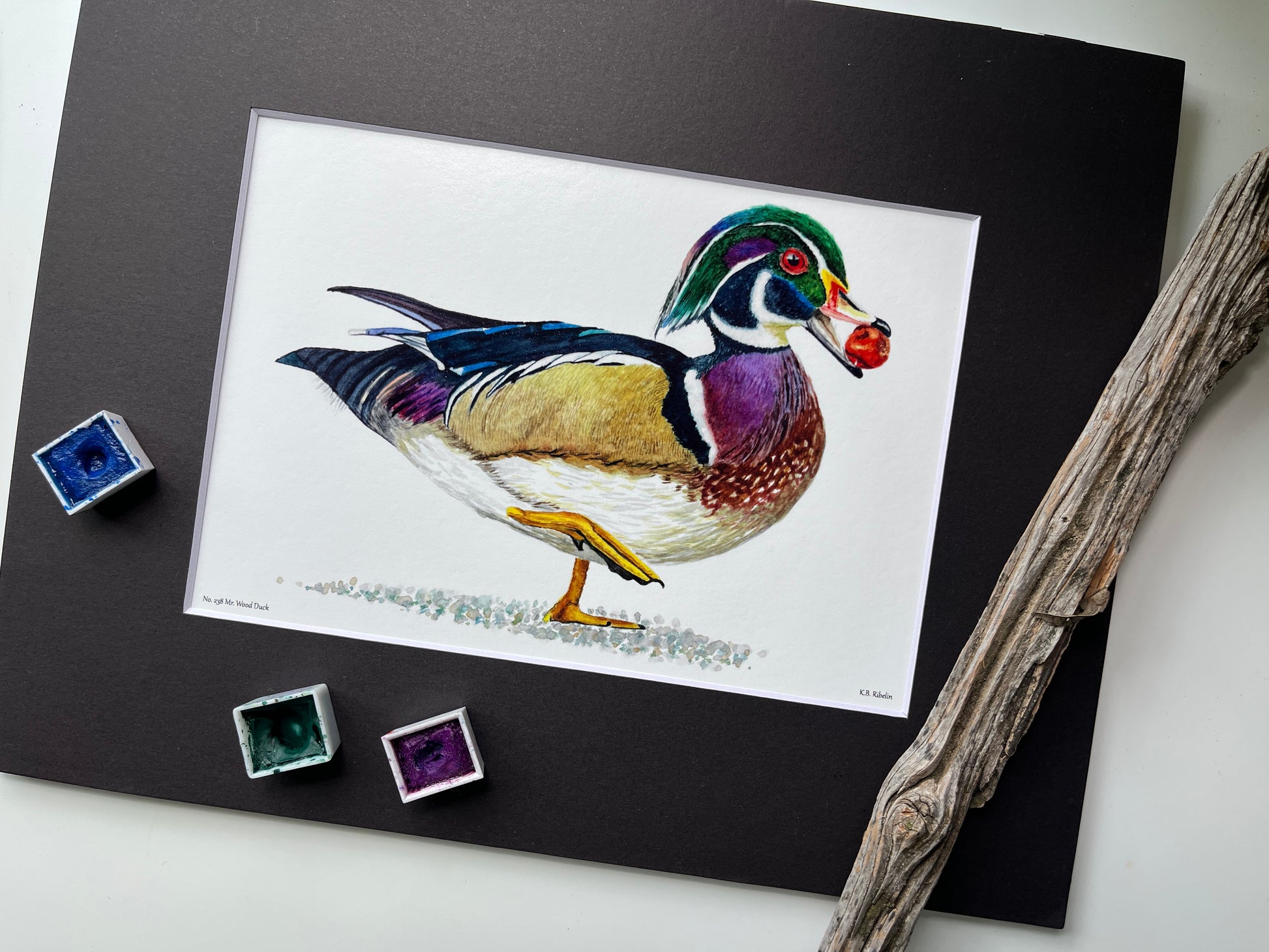 Wood Duck (Male) - Bird Art by KB - Giclee Print with Black Mat