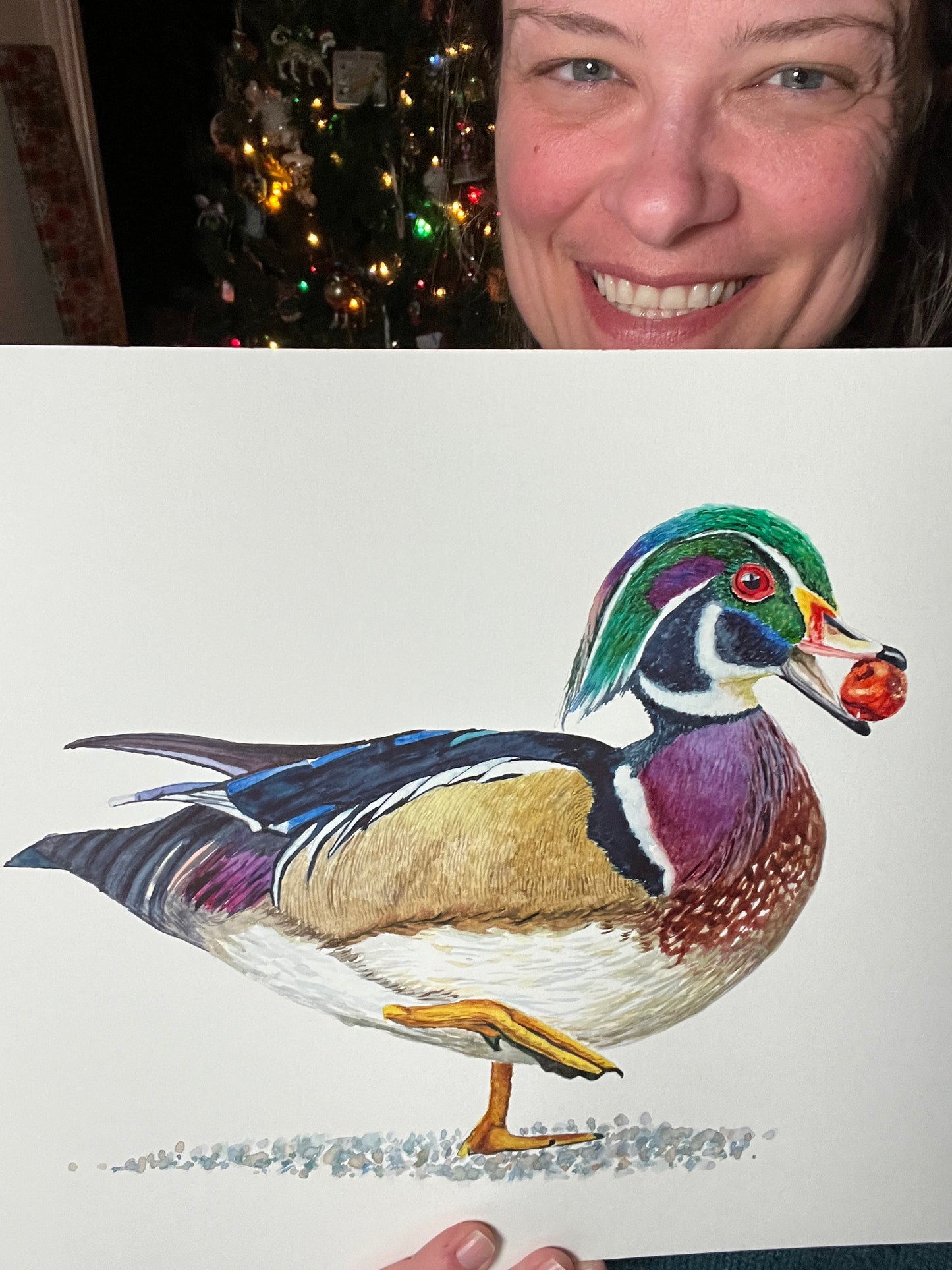 Wood Duck (Male) - Bird Art by KB - Original