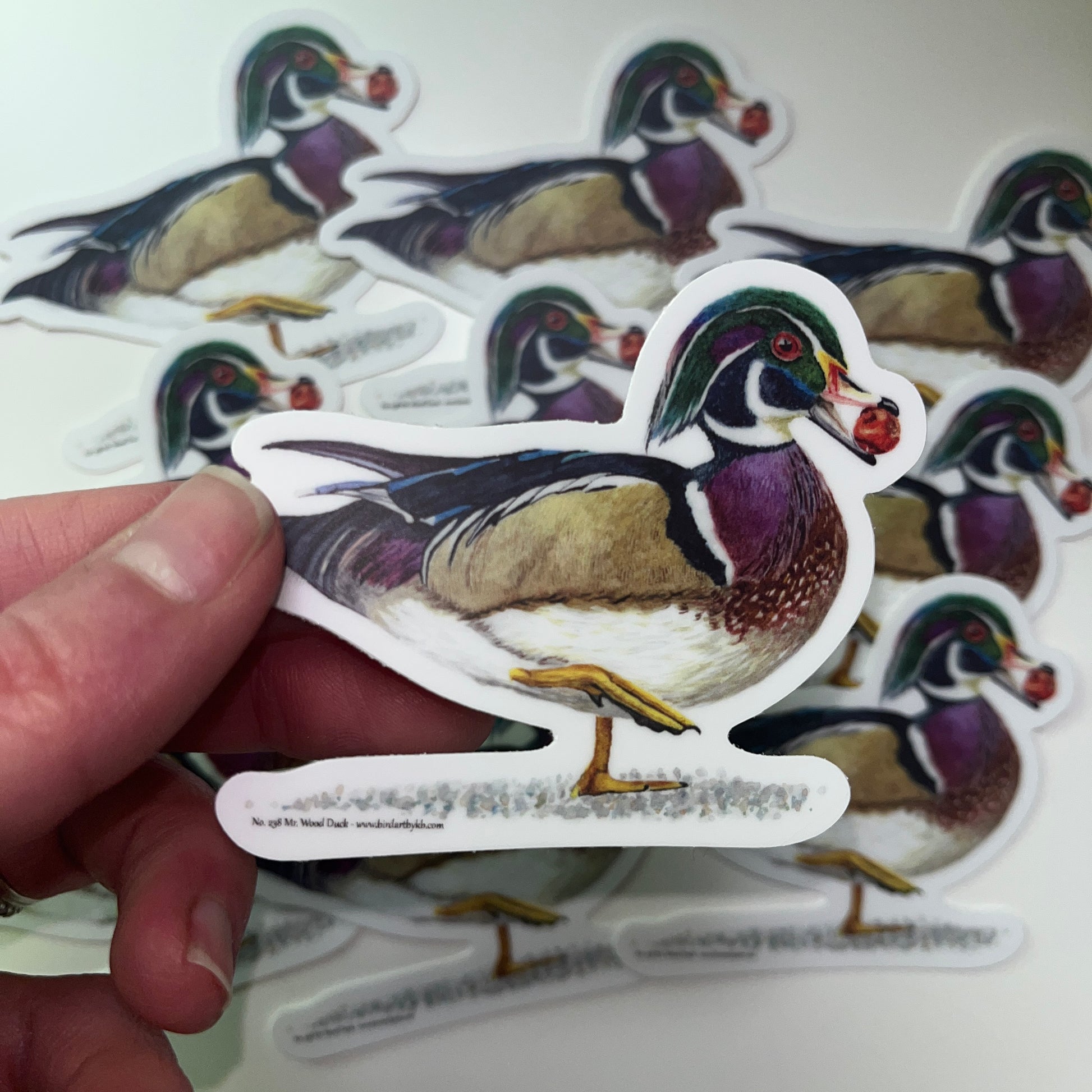 Wood Duck (Male) - Bird Art by KB - Sticker