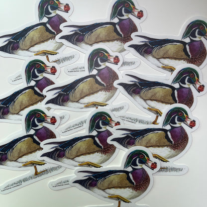 Wood Duck (Male) - Bird Art by KB - Sticker