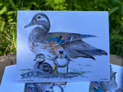 Wood Duck (Female) - Bird Art by KB - Notecard