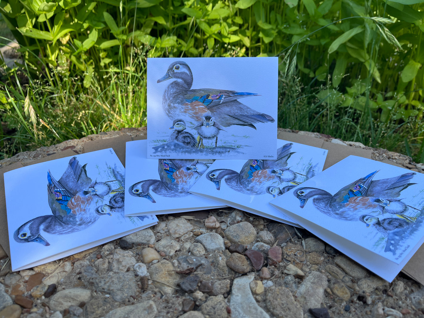 Wood Duck (Female) - Bird Art by KB - Notecard Set