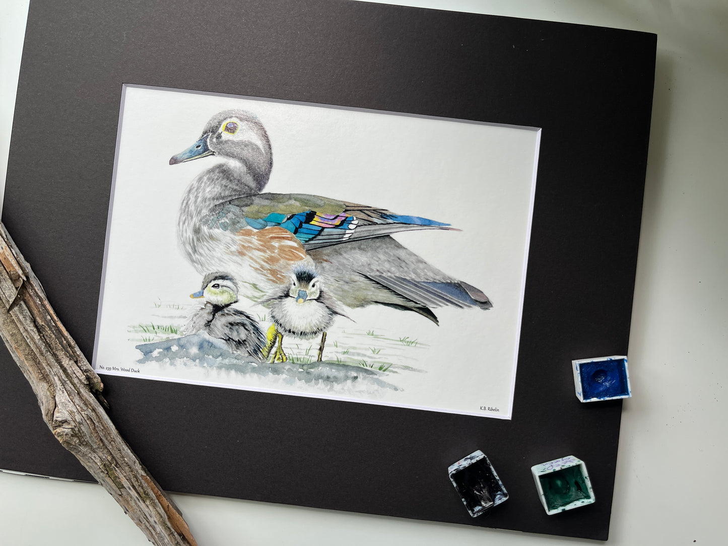 Wood Duck (Female) - Bird Art by KB - Giclee Print with Black Mat