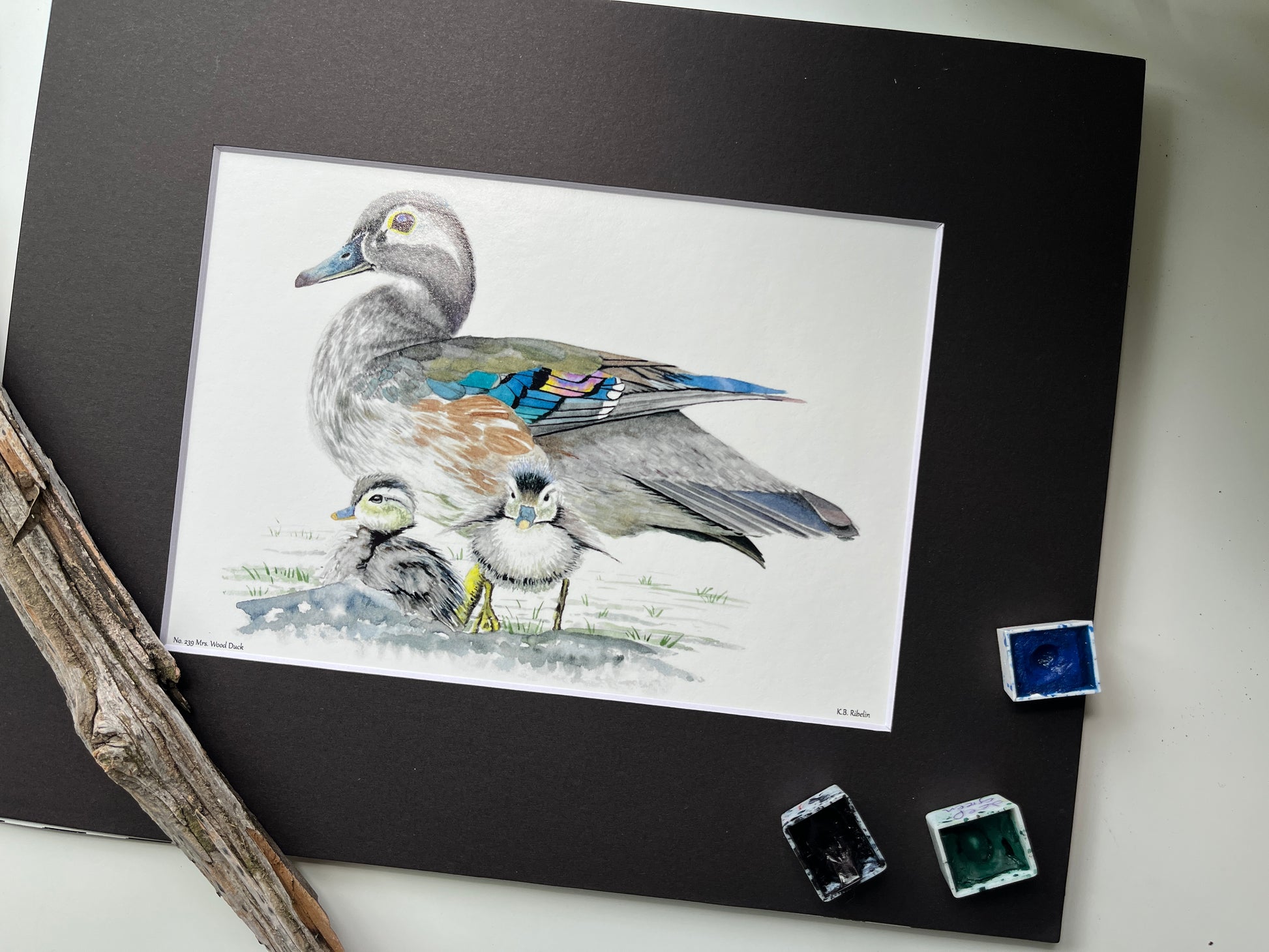 Wood Duck (Female) - Bird Art by KB - Giclee Print with Black Mat