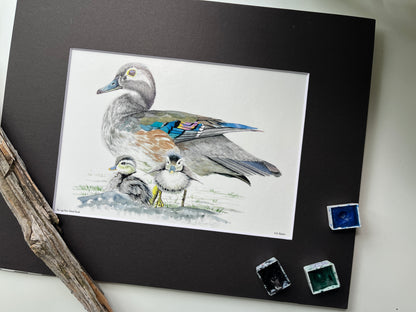 Wood Duck (Female) - Bird Art by KB - Giclee Print with Black Mat