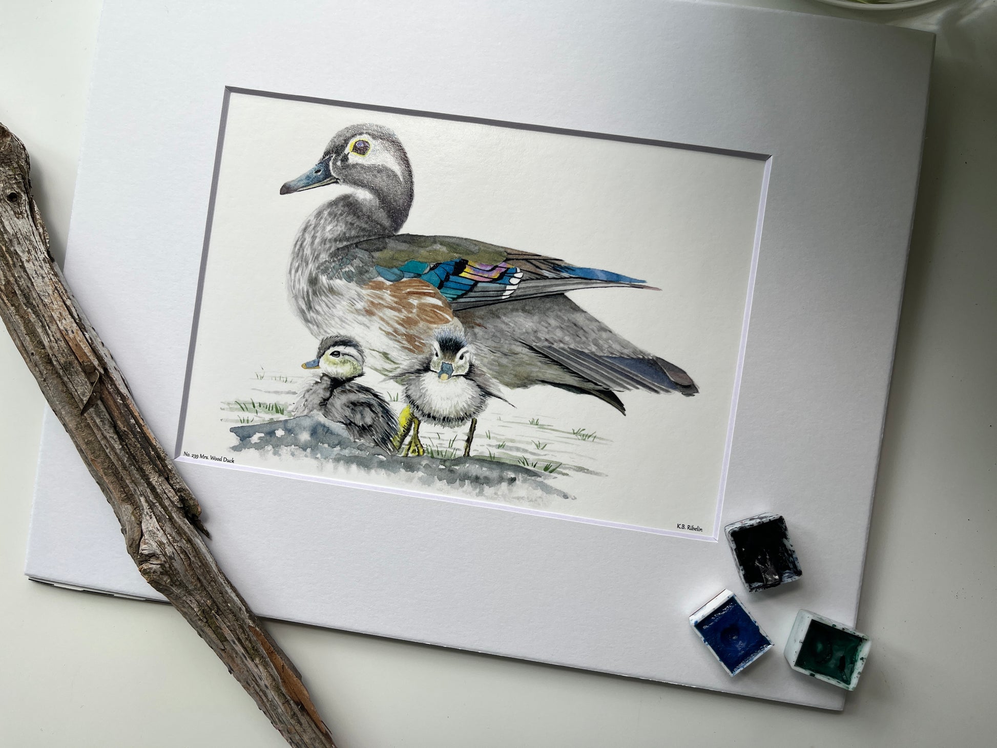 Wood Duck (Female) - Bird Art by KB - Giclee Print with White Mat