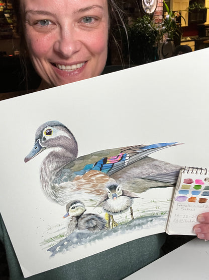 Wood Duck (Female) - Bird Art by KB - Original