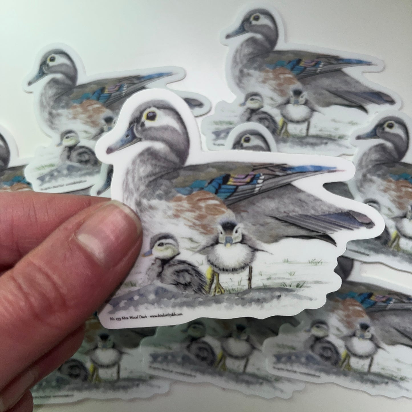 Wood Duck (Female) - Bird Art by KB - Sticker