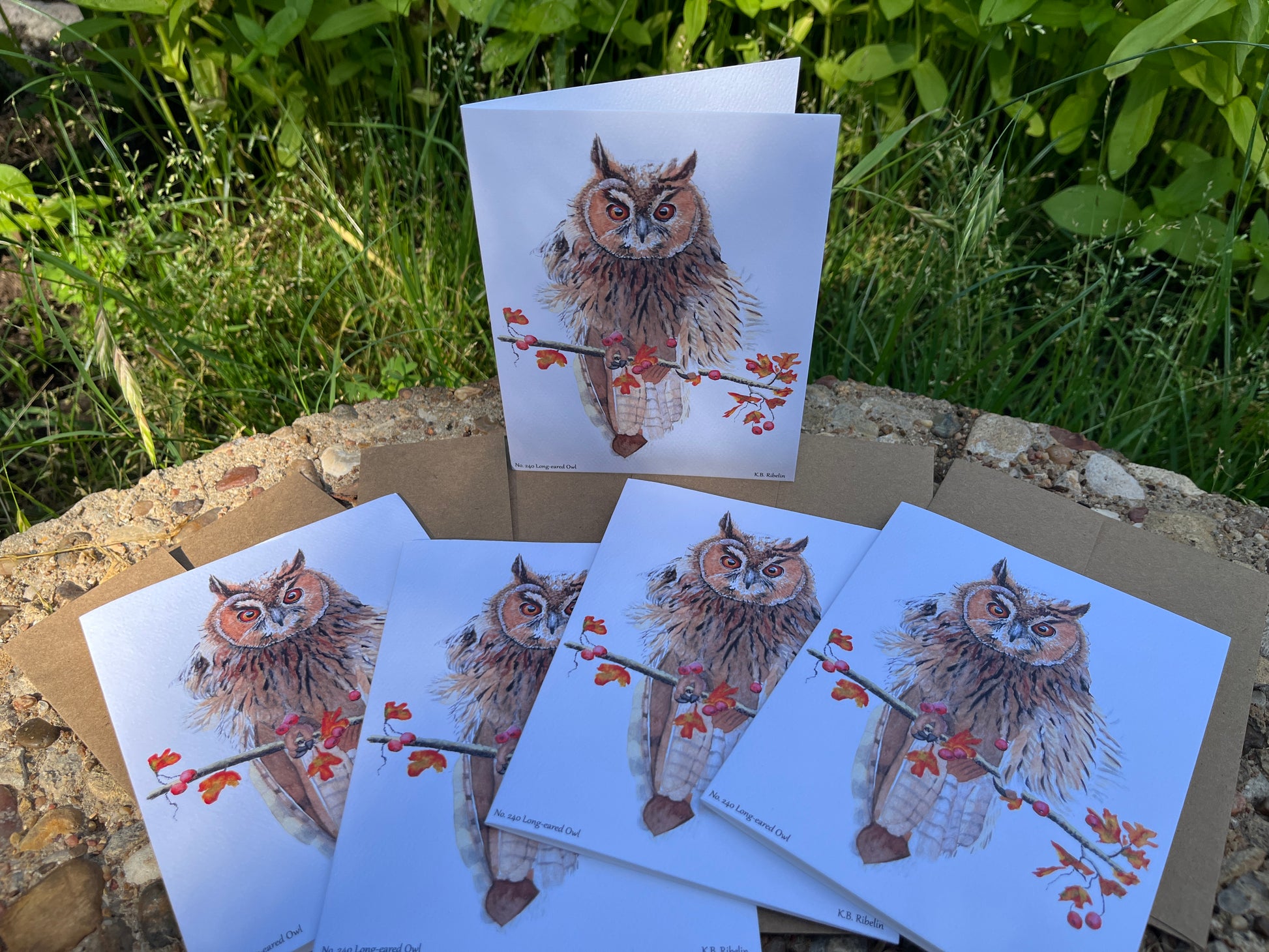 Long-eared Owl - Bird Art by KB - Notecard Set
