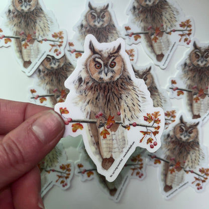Long-eared Owl - Bird Art by KB - Sticker