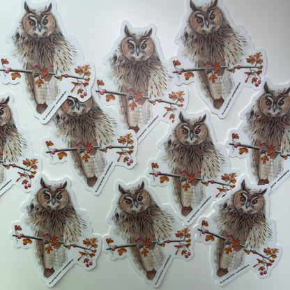 Long-eared Owl - Bird Art by KB - Sticker