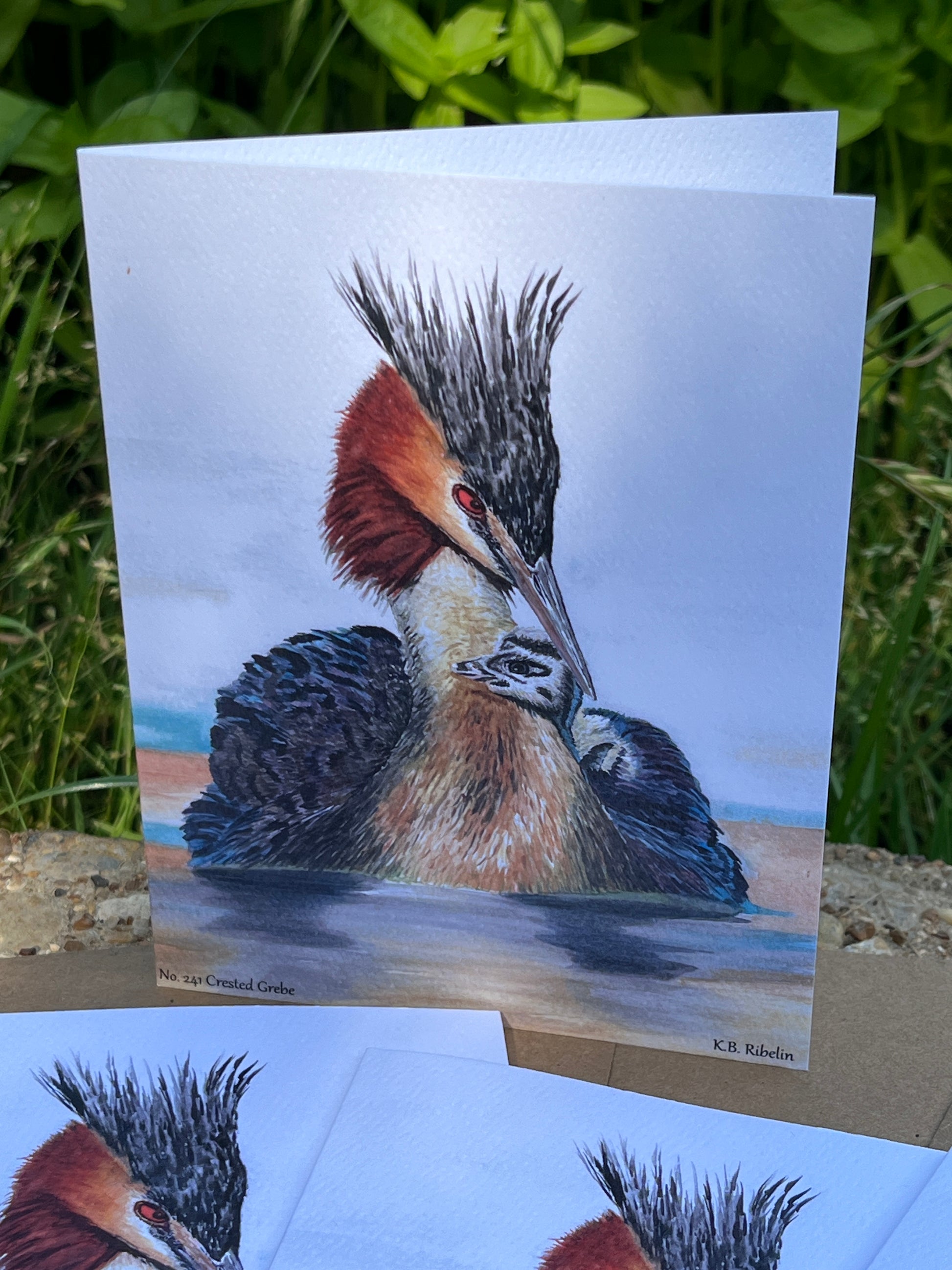 Crested Grebe - Bird Art by KB - Notecard