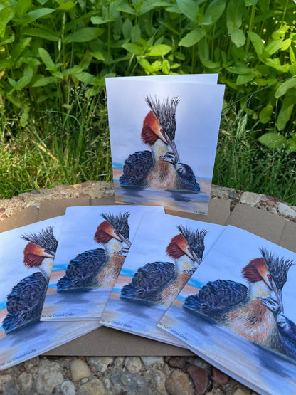 Crested Grebe - Bird Art by KB - Notecard Set