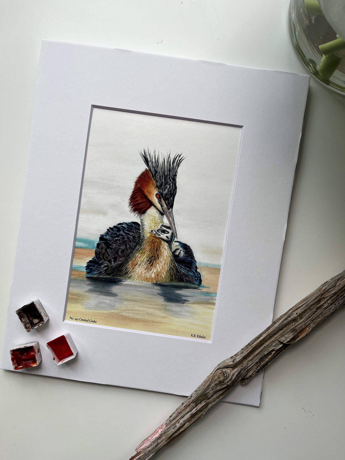 Crested Grebe - Bird Art by KB - Giclee Print with White Mat