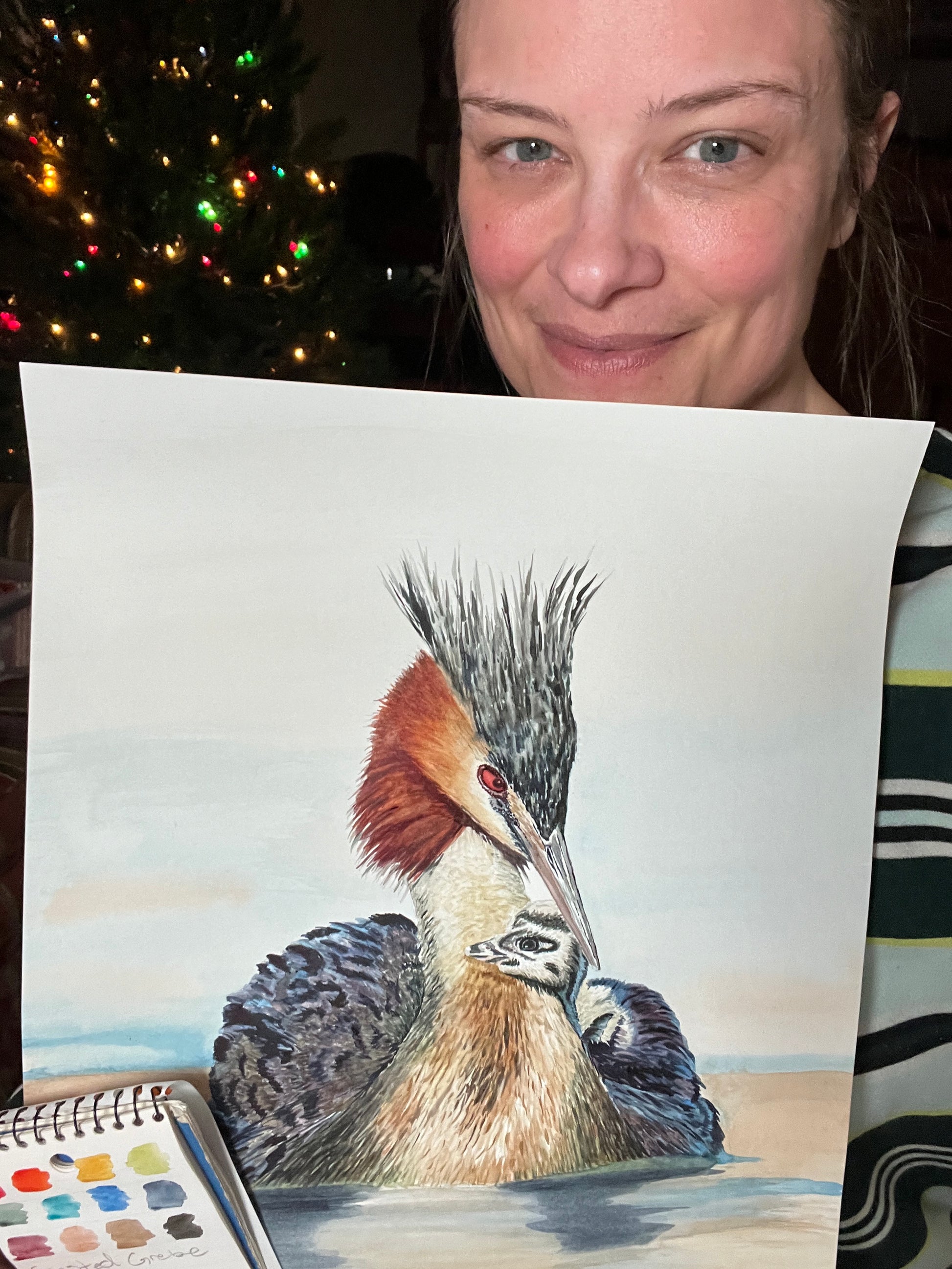 Crested Grebe - Bird Art by KB - Original