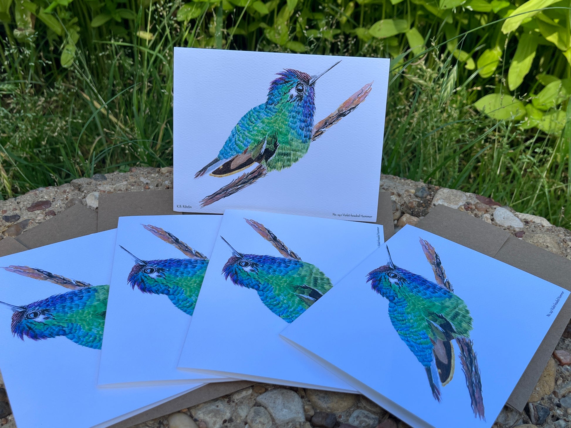 Violet-headed Hummingbird - Bird Art by KB - Notecard Set