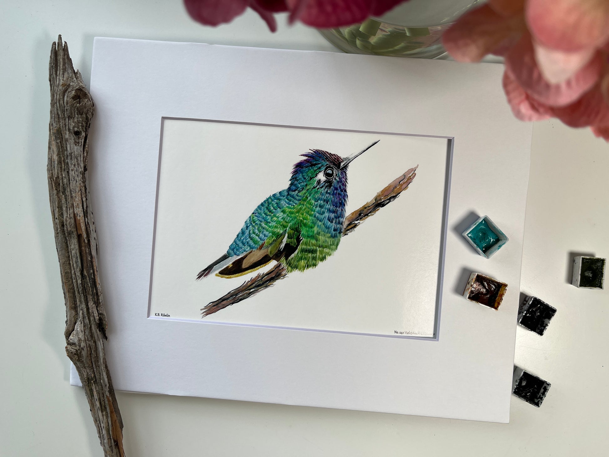 Violet-headed Hummingbird - Bird Art by KB - Giclee Print with White Mat