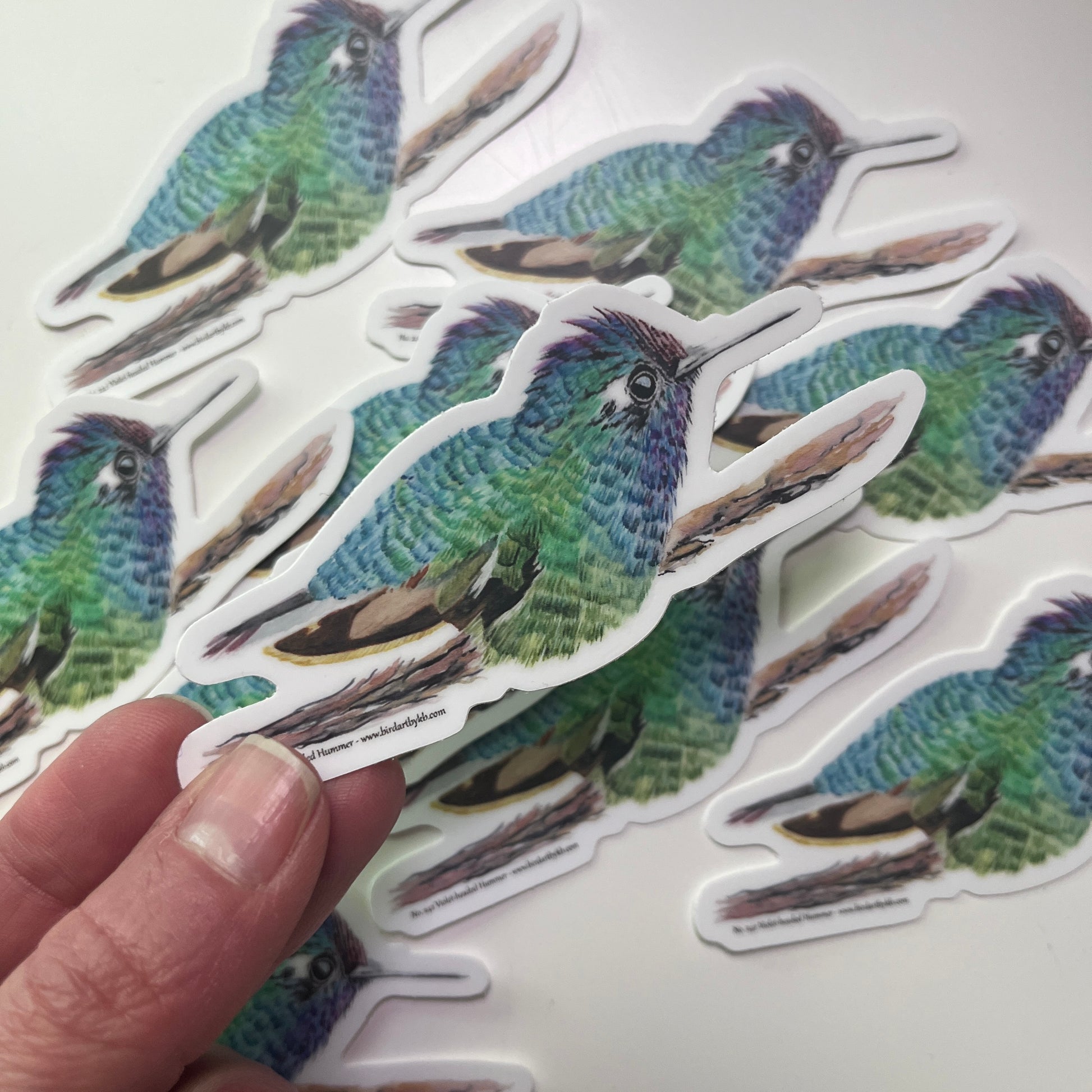 Violet-headed Hummingbird - Bird Art by KB - Sticker