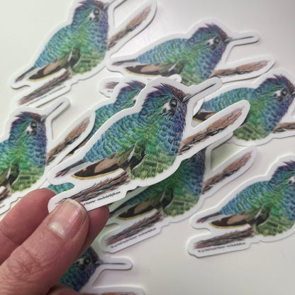 Violet-headed Hummingbird - Bird Art by KB - Sticker