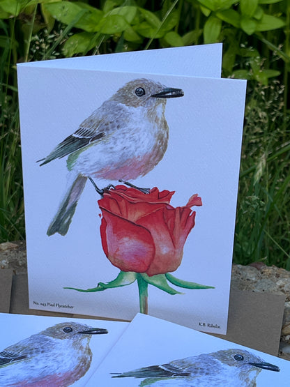 Pied Flycatcher - Bird Art by KB - Notecard