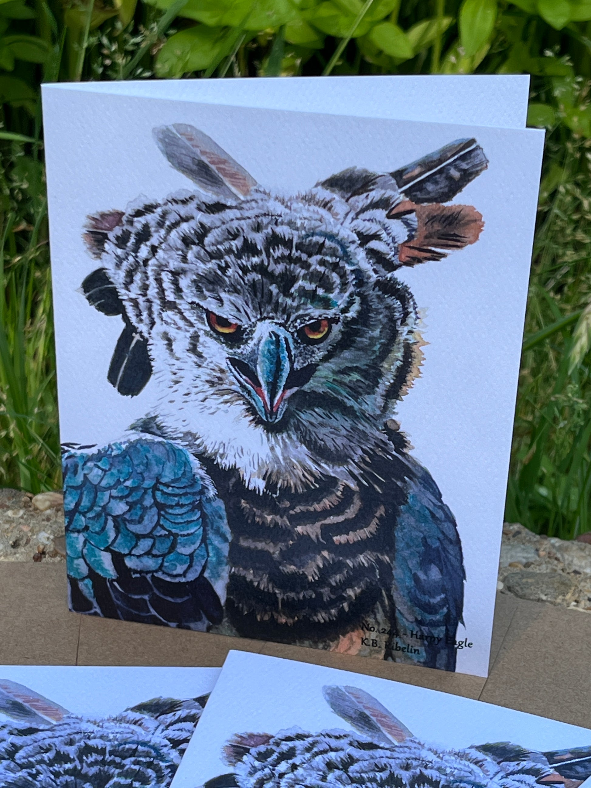Harpy Eagle - Bird Art by KB - Notecard
