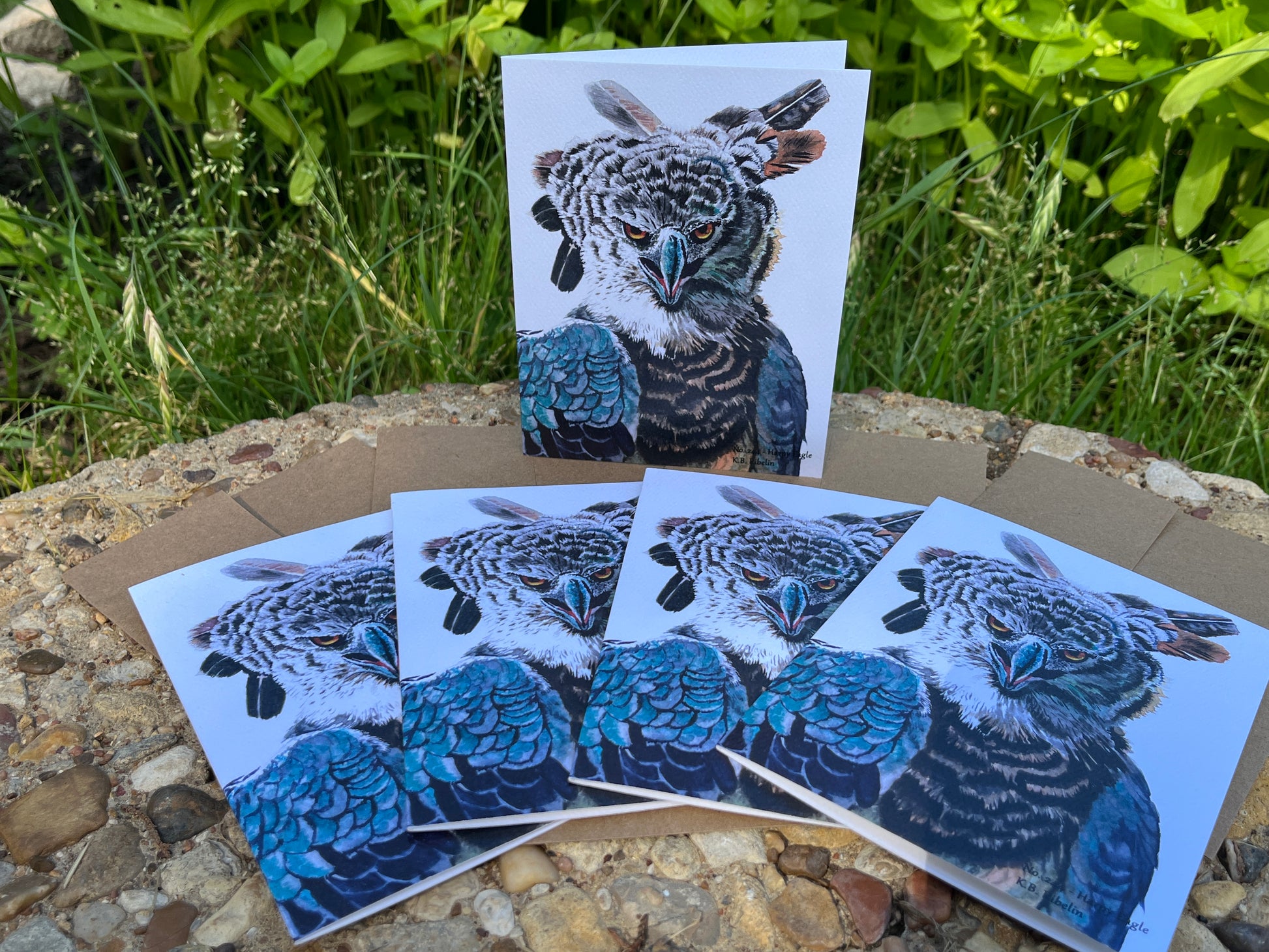 Harpy Eagle - Bird Art by KB - Notecard Set