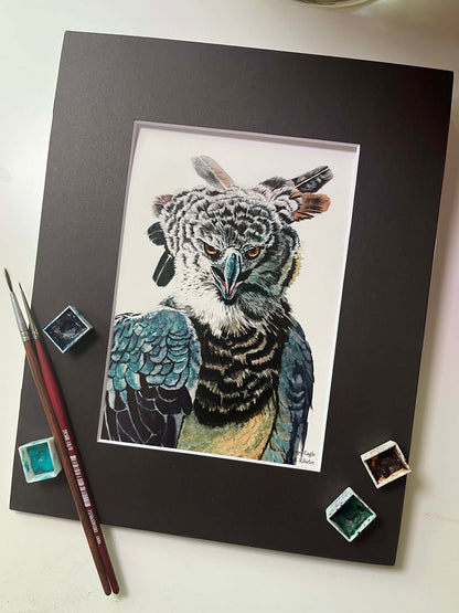Harpy Eagle - Bird Art by KB - Giclee Print with Black Mat