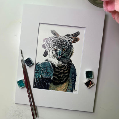 Harpy Eagle - Bird Art by KB - Giclee Print with White Mat