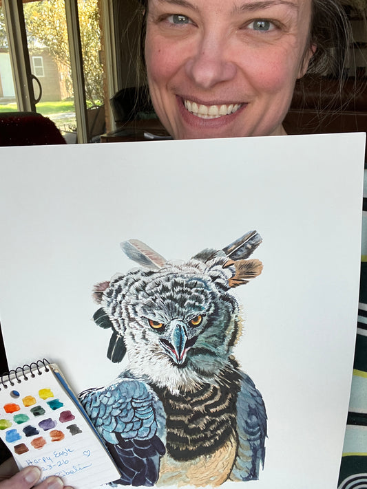 Harpy Eagle - Bird Art by KB - Original