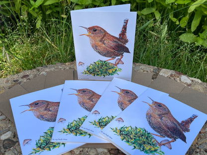 Pacific Wren - Bird Art by KB - Notecard Set