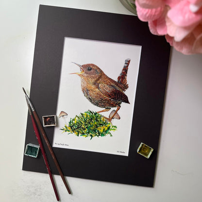 Pacific Wren - Bird Art by KB - Giclee Print with Black Mat