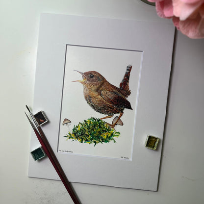 Pacific Wren - Bird Art by KB - Giclee Print with White Mat