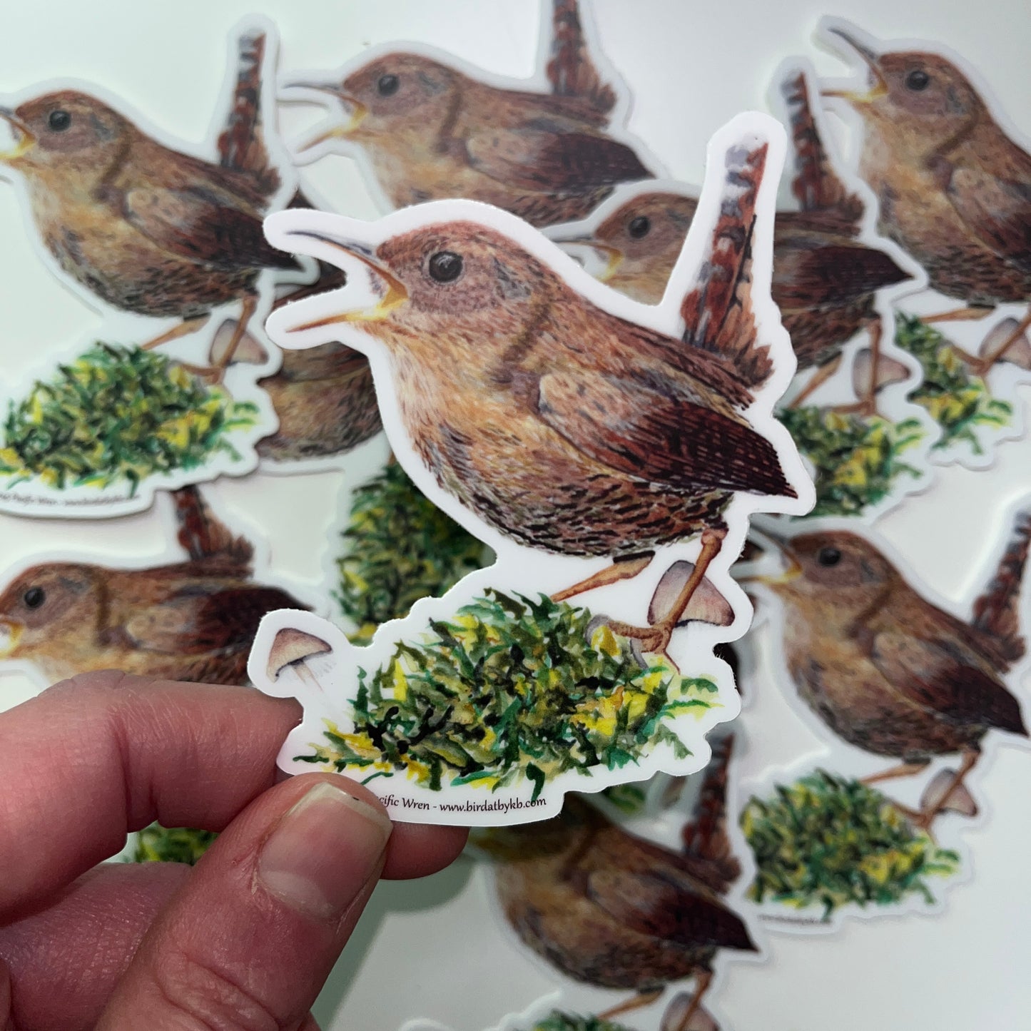 Pacific Wren - Bird Art by KB - Sticker